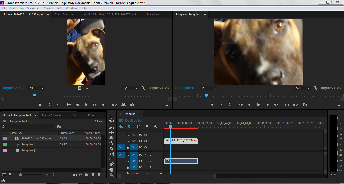 adobe premiere example shot.PNG